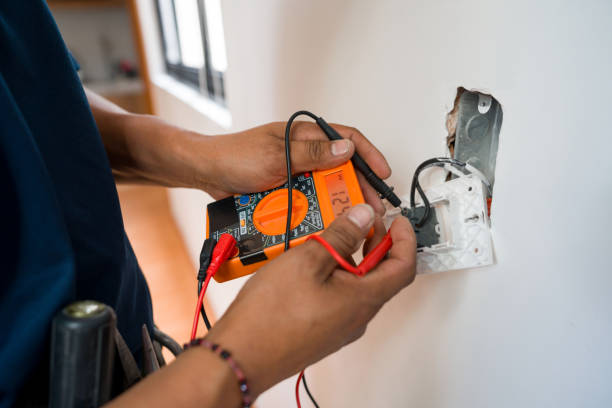 Best Electric Panel Repair  in Waimalu, HI